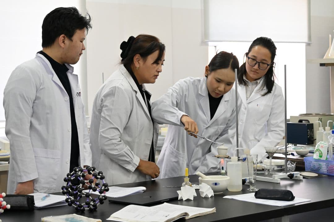 Химийн инженерчлэлийн хөтөлбөр